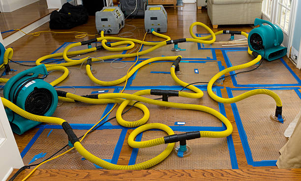 Professional Water Damage Restoration technician working in Newton, TX